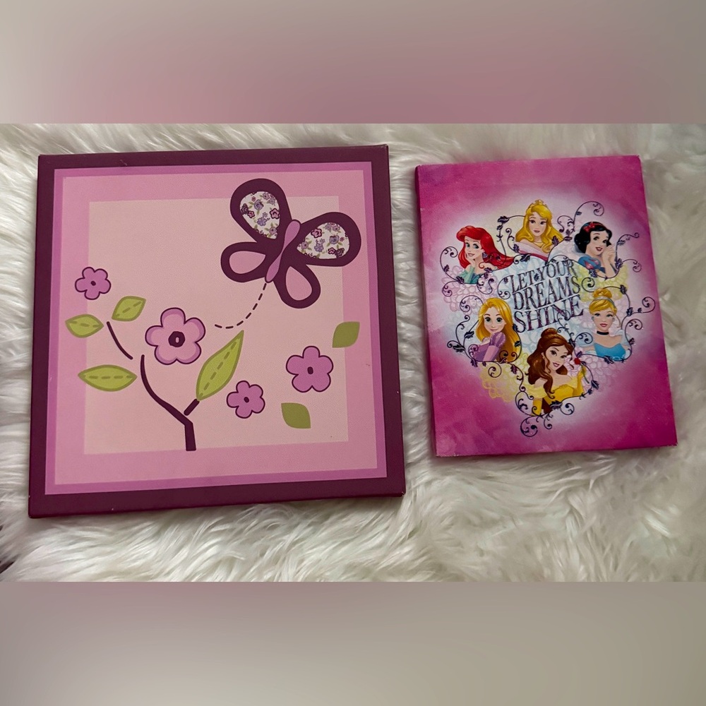 👸 👑 Cute Disney Princess Canvas in Pink and free butterfly 🦋 canvas